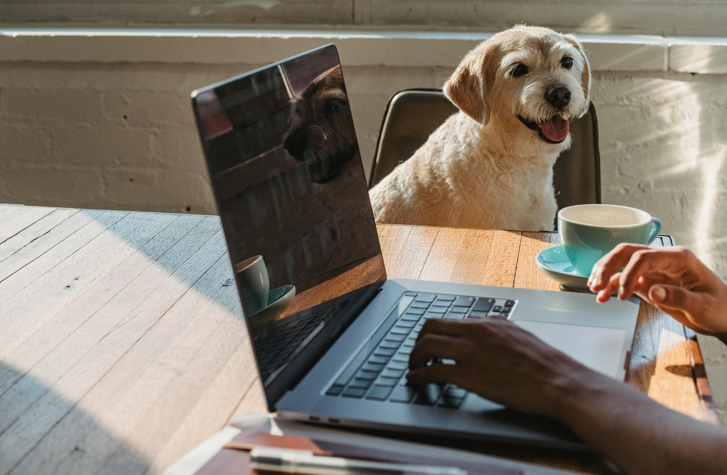 Remote Work